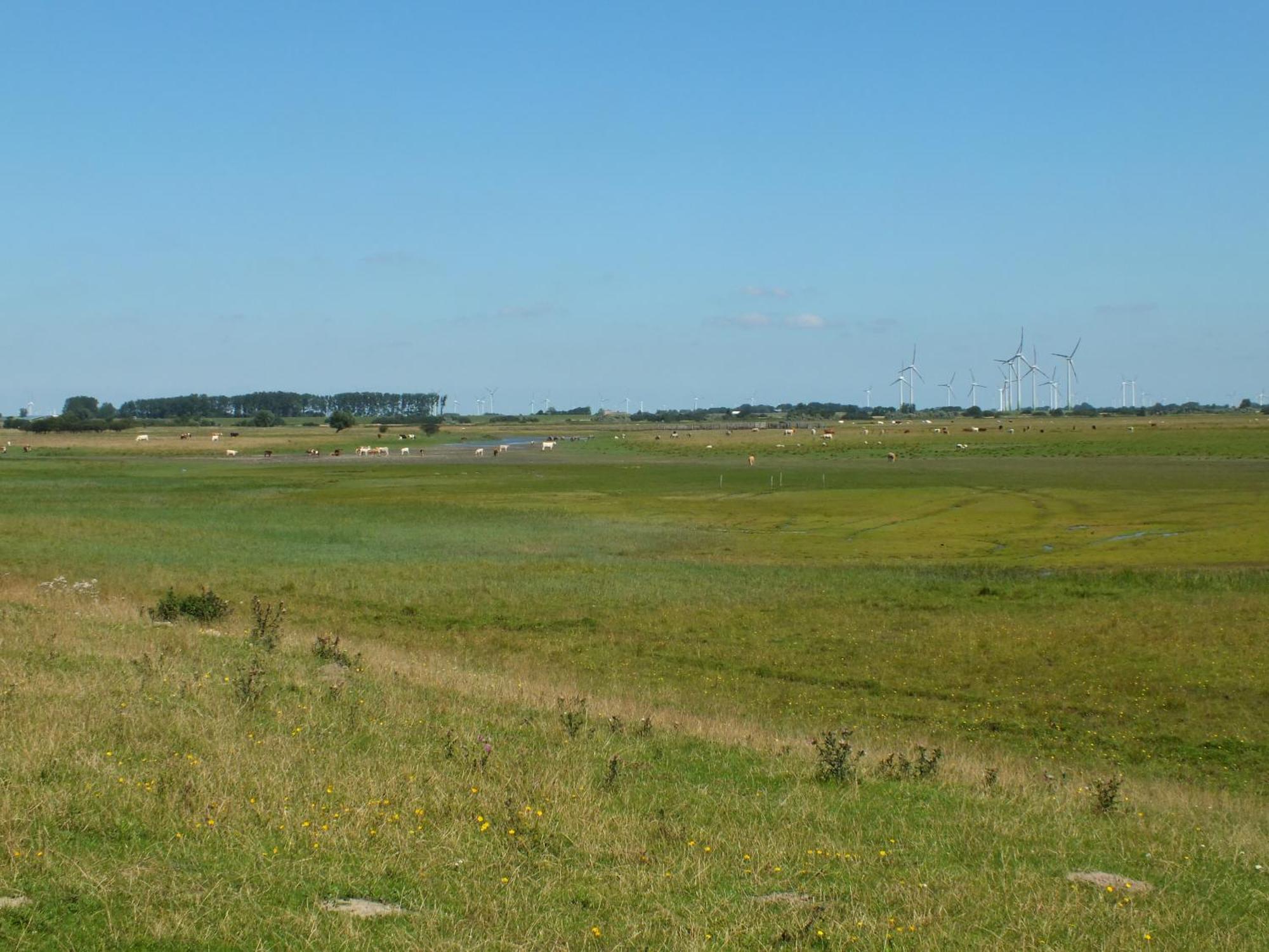 Ferienwohnung In Osterdeichstrich Oesterdeichstrich Zewnętrze zdjęcie